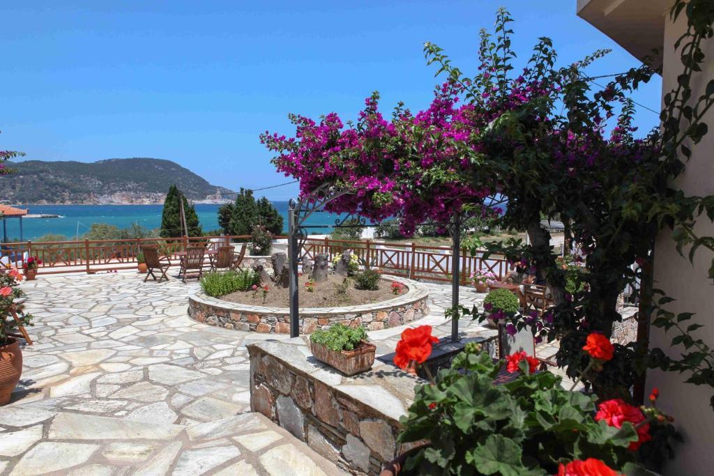 Pleoussa Studio And Apartments Skopelos Zewnętrze zdjęcie